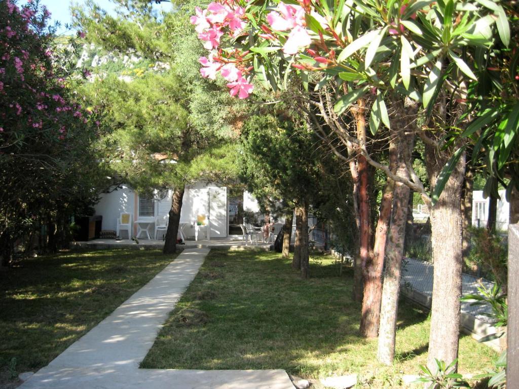 Vila Branka Canj Ngoại thất bức ảnh